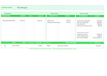Green Payslip (Paper Only Copy)