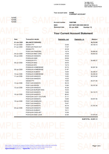 Bank of Ireland Bank Statement