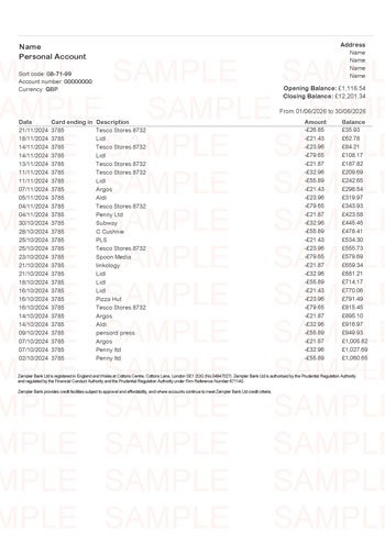 Zempler Bank Statement