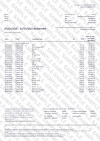 Starling Bank Statement